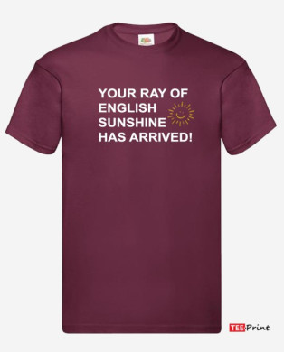 Your Ray of Scottish Sunshine Has Arrived T-Shirt.