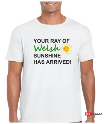 Your Ray of Welsh Sunshine Has Arrived T-Shirt - White
