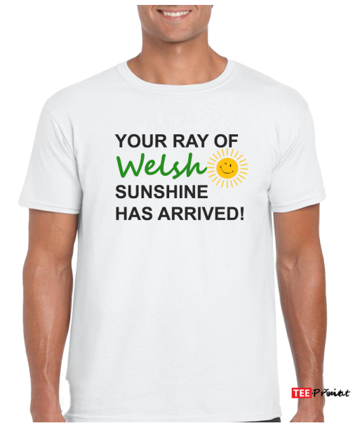 Your Ray of Welsh Sunshine Has Arrived T-Shirt - White