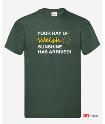 Your Ray of Welsh Sunshine Has Arrived T-Shirt - White