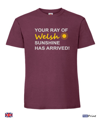 Your Ray of Welsh Sunshine Has Arrived T-Shirt - White